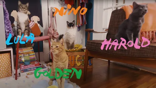 The Linda Lindas - Growing Up